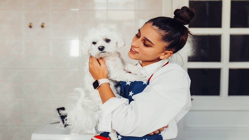 Guide Lovelolablog: How Families Take Better Care of Their Pets?