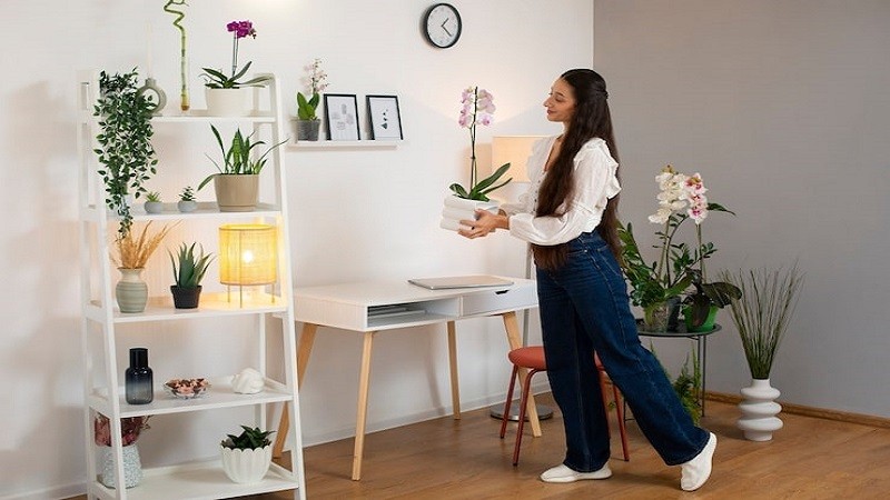 How Can Homes LoveLolaBlog Inspire Your Home, Decor, and Everyday Living?